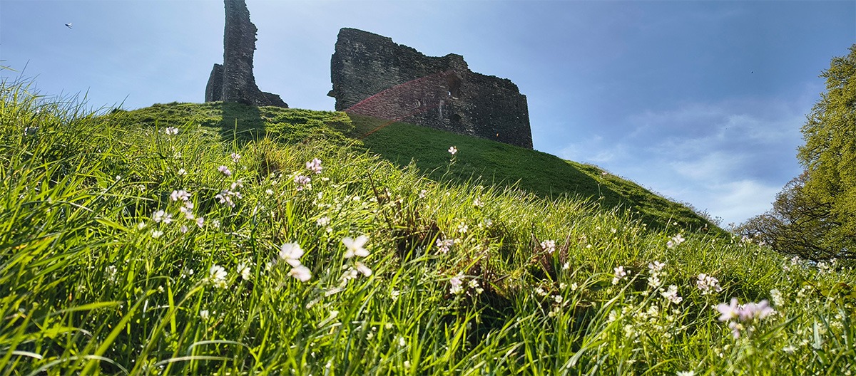 Okehampton Castle for the summer